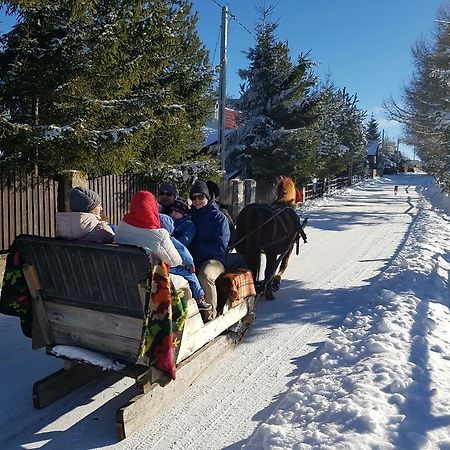 Pension Doru Beliş Dış mekan fotoğraf