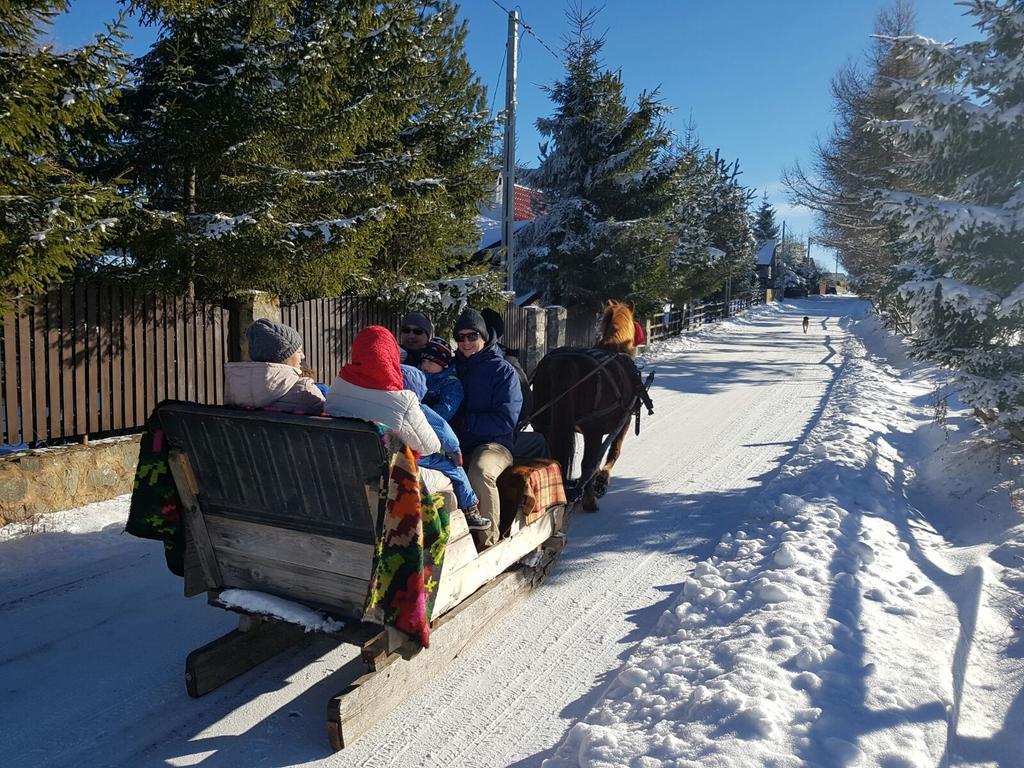Pension Doru Beliş Dış mekan fotoğraf